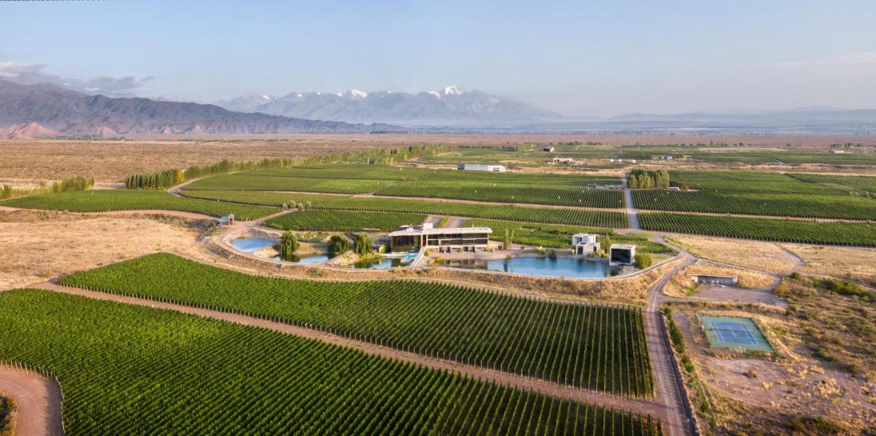 Casa De Uco Vineyards And Wine Resort Los Árboles Buitenkant foto