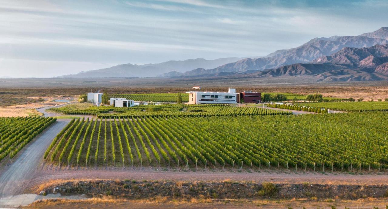 Casa De Uco Vineyards And Wine Resort Los Árboles Buitenkant foto
