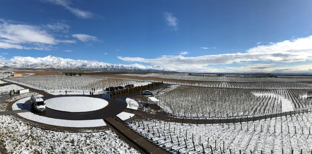 Casa De Uco Vineyards And Wine Resort Los Árboles Buitenkant foto