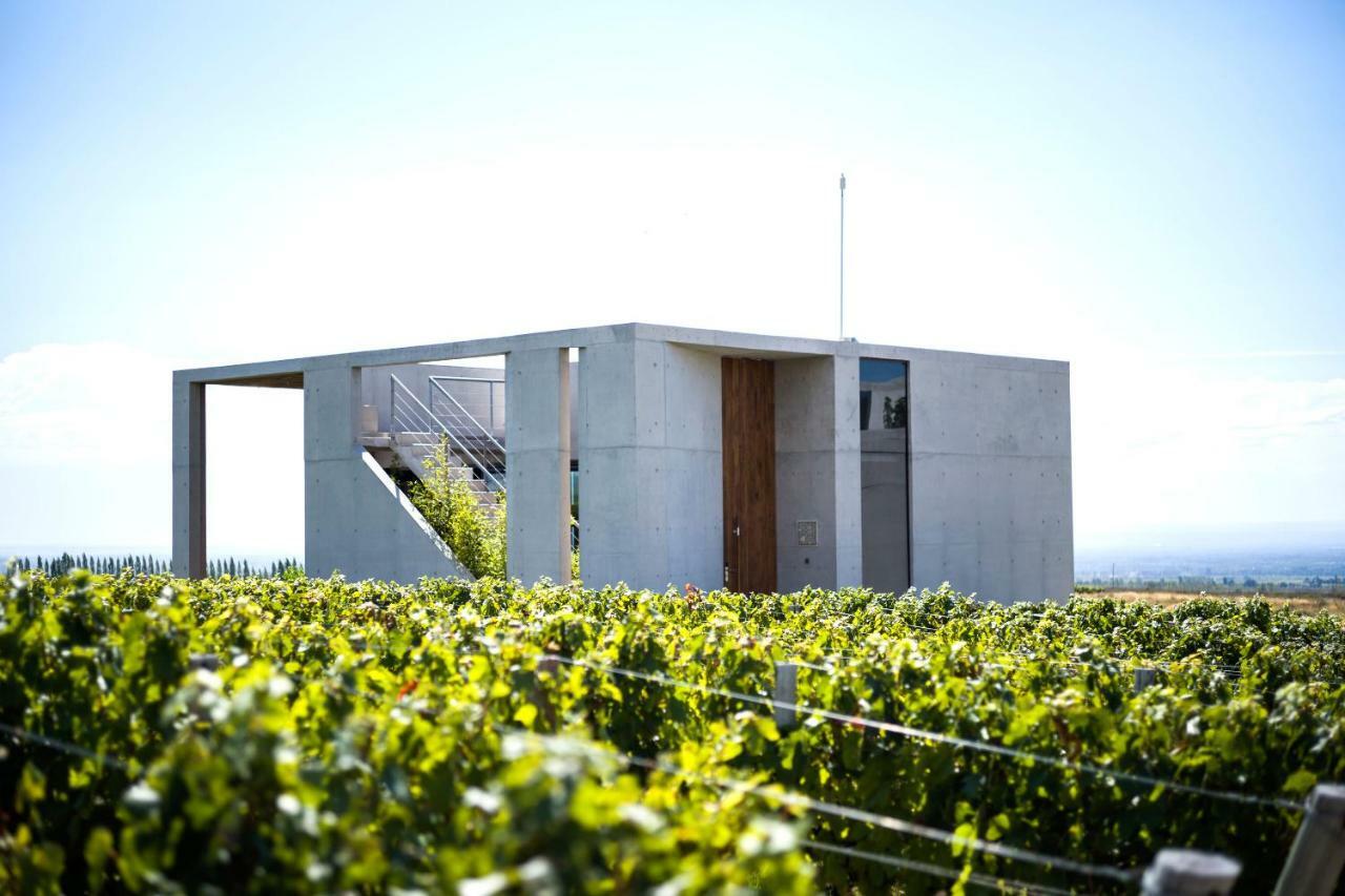 Casa De Uco Vineyards And Wine Resort Los Árboles Buitenkant foto